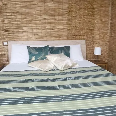 Cerami Jungle Apartament